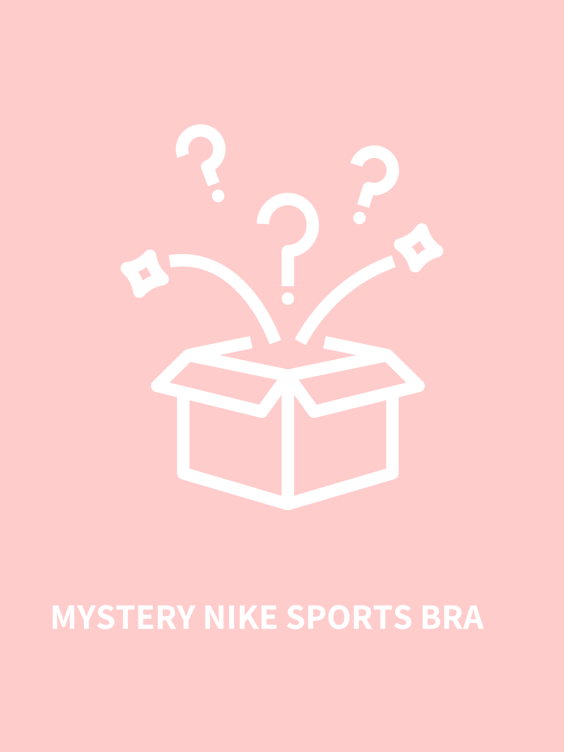 Mystery Nike Sports Bra